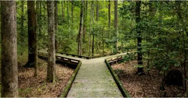 Thoughtful-Insights-Thoughtful-Advisors-12-03-2025_06_36_PM