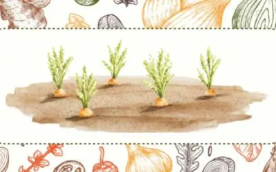 4 Financial Mistakes to Avoid this Spring