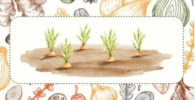 4 Financial Mistakes to Avoid this Spring